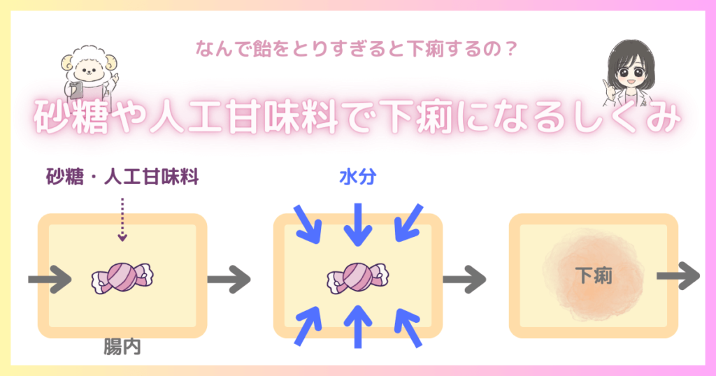 砂糖や人工甘味料をとると腸内の浸透圧が高くなり、腸内の水分量が増えてしまうことで下痢を起こしやすくなる。